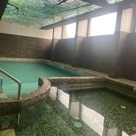 Mountain Wellness&spa زلاتيبور
